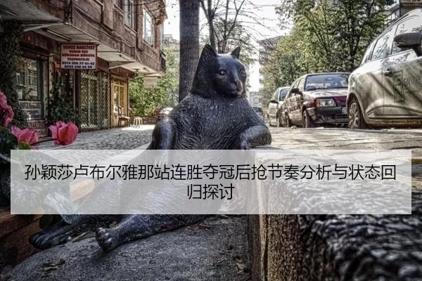 孙颖莎卢布尔雅那站连胜夺冠后抢节奏分析与状态回归探讨